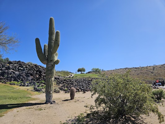 500 Club, The — Phoenix, AZ