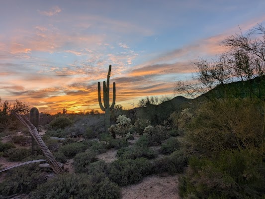 Terravita Golf Club — Scottsdale, AZ
