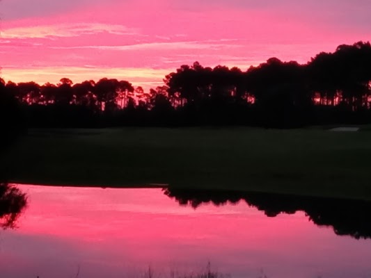 Amelia National Golf Club — Fernandina Beach, FL