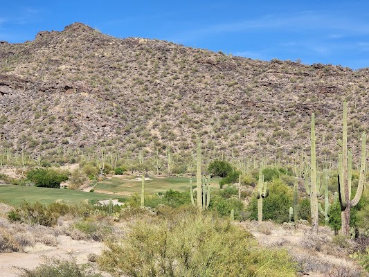 Golf Club At Dove Mountain, The — Marana, AZ