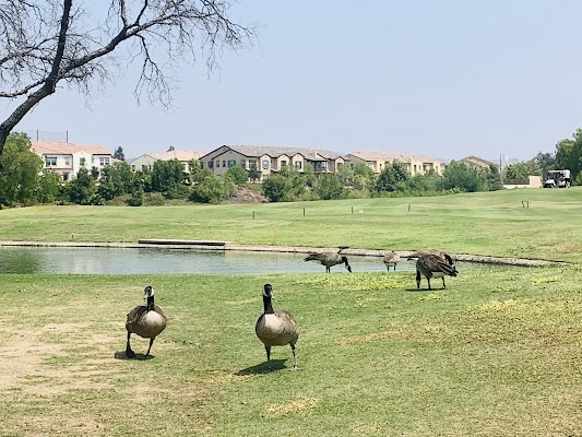 Birch Hills Golf Course — Brea, CA